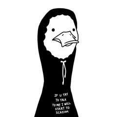 the royal feathered 🦆