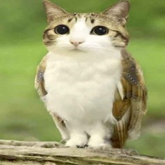 Nettbot Archive