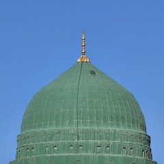 Aya Gabr