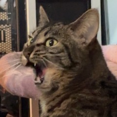 Bipolar