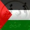 محمد الجمل