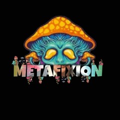 METAFIXION