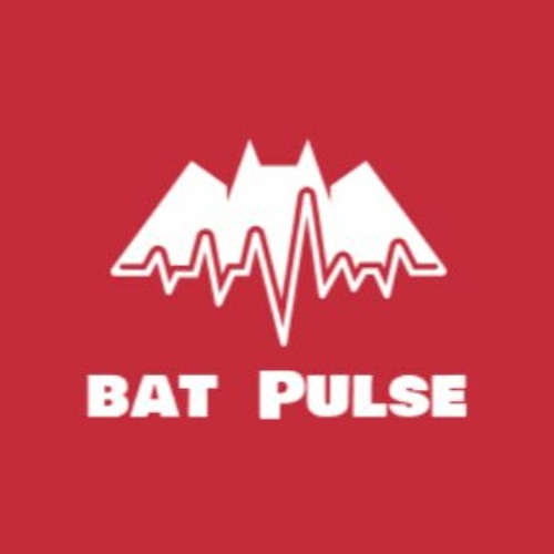 Bat Pulse Repost’s avatar