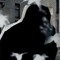 MF DOOM fan