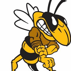 Yellow Jacket Recs