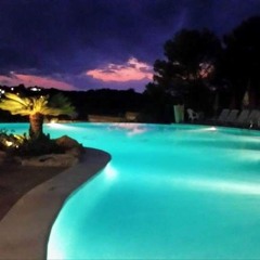 Fabio da Silva Baião