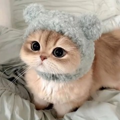 Фембойчик