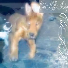 CatKillsDog