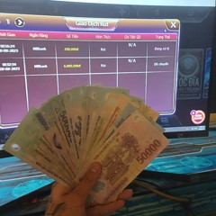 Việt Hoàng Vũ