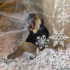 Esencia Elixir Loewe