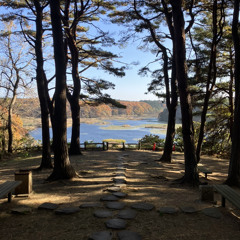 アーティストネーム あめのこ