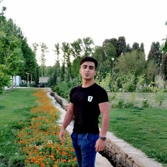 Mohammad Reza Sahami
