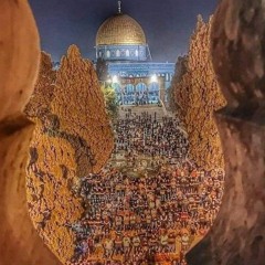 رفقا بالقوارير