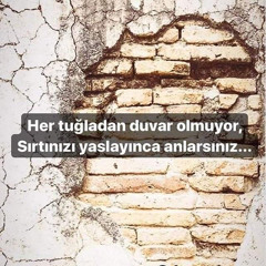 banu_nl
