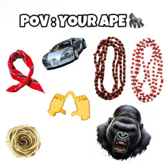 babyapeonamission