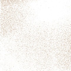 00000000000000000000000000000000000000000000000003