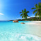 Islandlewa