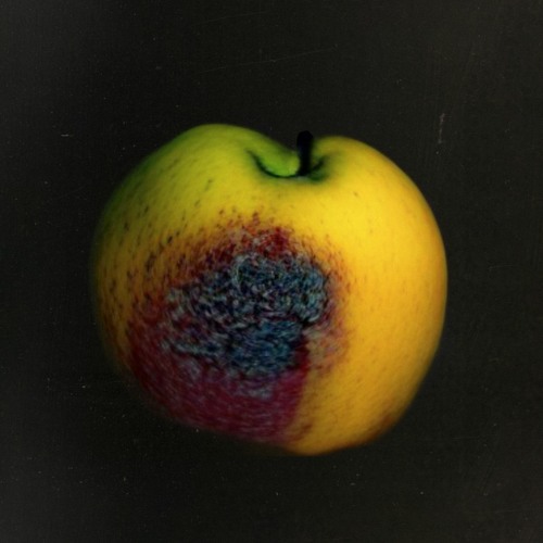 b.fruit’s avatar