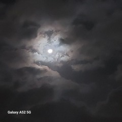 Andrea Bradley (Andy)