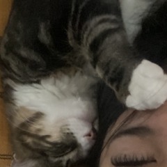 amparo