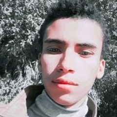 محمد احمد هارون
