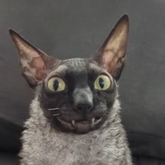 djmoth