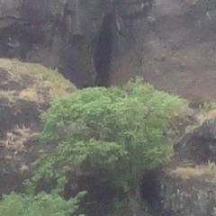 la grote de la Vierge Marie