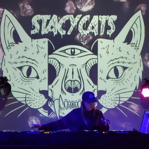 stacycats’s avatar