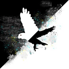 digital_parrot