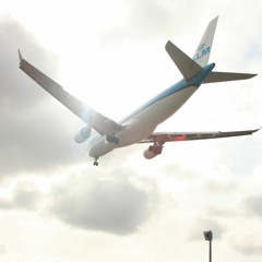 TheItalianGoldmember