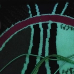 Bagas Dwi Aji Pangestu