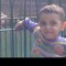 محمود شعلة