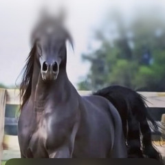 خالد الحربي
