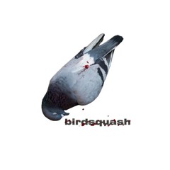birdsquash