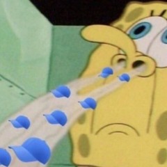 Christopher S McDavid