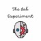 The Lab Experiment