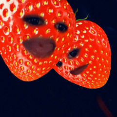 sherimp_