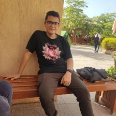 Amr Shamndy