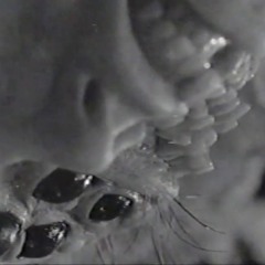 SULLEN17