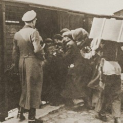 Austin Timmys Got A Gun 2 (1)