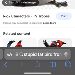 arcteryxbelt