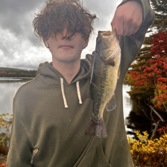 Inkledick23