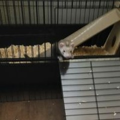 Arthur Arty J Clinton