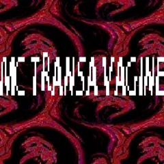 MC TRANSA VAGINE