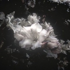 🅡🅥 ᴳˡᵃᵐᴿᵃⁱᵏᵉʳ