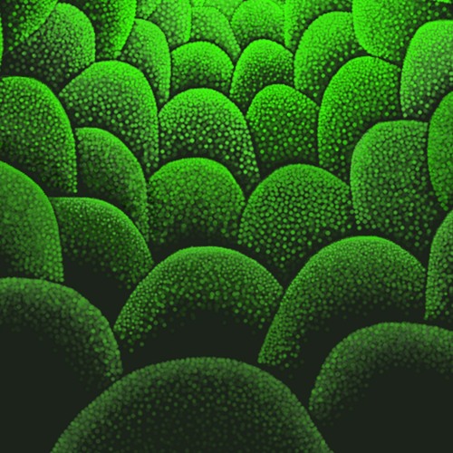 Mizuki Mai - Explore her intriguing world unleashed