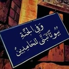 مجدي سالم