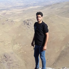 amirreza kakavand