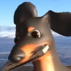vizkooo