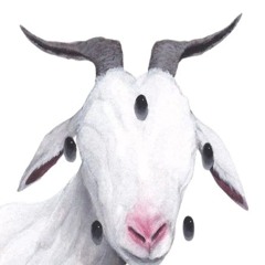 B3nT.com